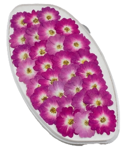 картинка Роза обезвоженная - Пурпурный фламинго плоская (в вакууме) от магазинаАрт-Я