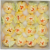 картинка Безе "Тюльпаны" желтые, 60гр от магазинаАрт-Я