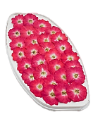 картинка Роза обезвоженная - Огненный поцелуй плоская (в вакууме) от магазинаАрт-Я