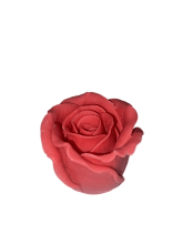 картинка Глазурь "Роза голландская красная" от магазинаАрт-Я