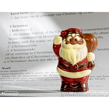 картинка Поликарбонатная форма Chocolate World Santa (12052 CW) от магазинаАрт-Я