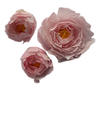 картинка Набор цветов из вафельной бумаги ПИОНЫ розовые  от магазинаАрт-Я