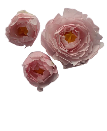 картинка Набор цветов из вафельной бумаги ПИОНЫ розовые  от магазинаАрт-Я