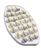 картинка Виола мини весенний рассвет плоская (в вакууме) 15шт от магазинаАрт-Я