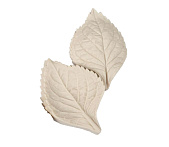 картинка Молд листик роза от магазинаАрт-Я