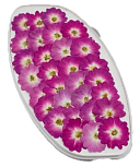 картинка Роза обезвоженная - Пурпурный фламинго плоская (в вакууме) от магазинаАрт-Я