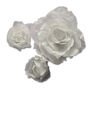 картинка Набор цветов из вафельной бумаги ПИОНЫ белые  от магазинаАрт-Я