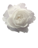 картинка Цветок из вафельной бумаги ПИОН белый 11см от магазинаАрт-Я