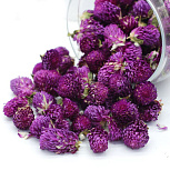 картинка Гомфрена сушеные цветы, 15гр от магазинаАрт-Я